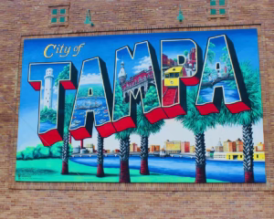 FR44 Insurance Tampa